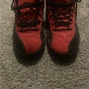 Jordan reverse flu game 12